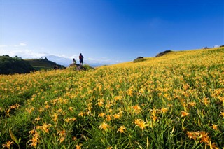 তাইওয়ান