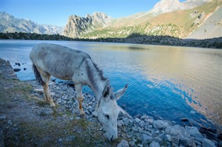 Tajikistan