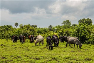 Tanzanija