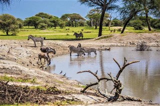 Tanzania