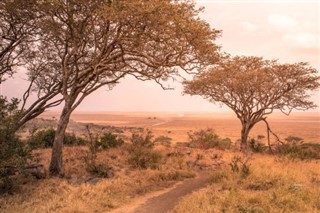 Tanzanie