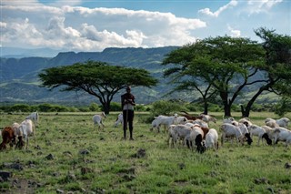 Tanzánia