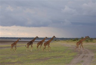 Tanzanija