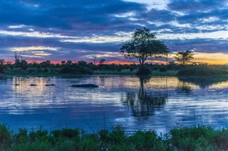 Tanzanie