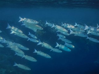 Tokelau