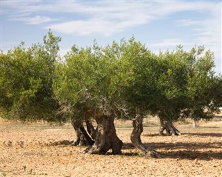 Τυνησία