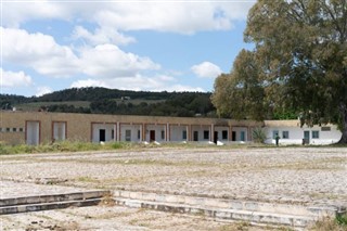تیونس
