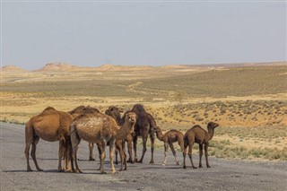 Turkmenistan