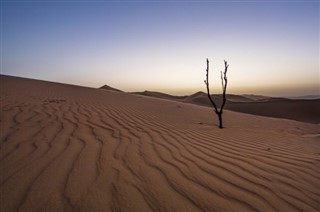 الإمارات