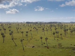Uruguai