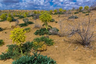 ازبکستان