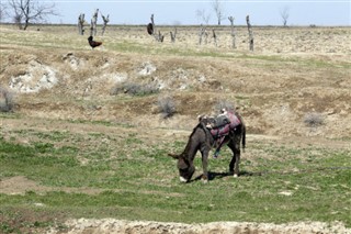 Uzbekistán