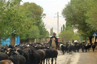 Üzbegisztán