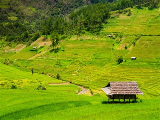 ভিয়েতনাম