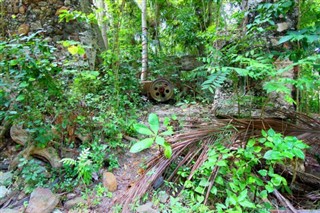 維爾京群島