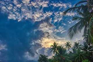 ভার্জিন