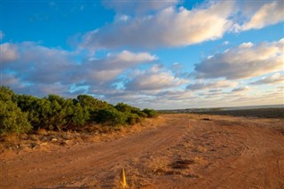 Sahara