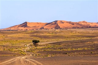 Sahara