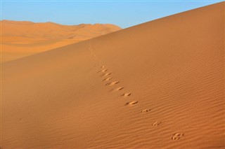 Sahara