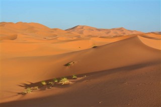 Sahara