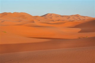 sahara