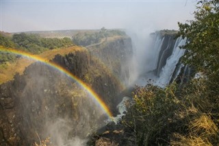 Zambia