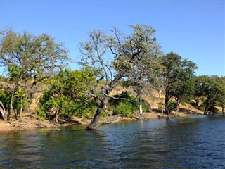 Zambia