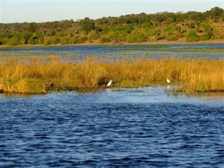 Zambia