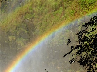 জিম্বাবুয়ে