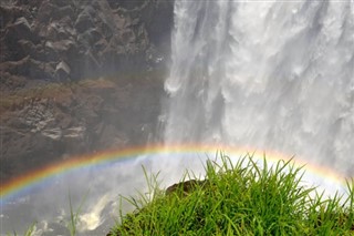 जिम्बाब्वे