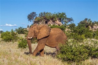 Zimbabue