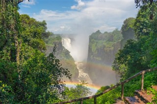 जिम्बाब्वे