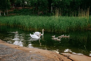 Aland
