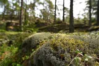 Åland-szigetek időjárás előrejelzés Åland-szigetek