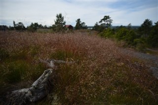 Aland