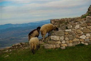 Albánie