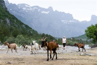 Albanija