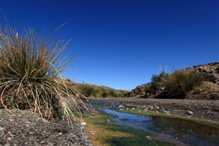 الجزائر