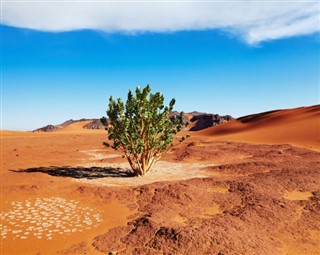 Algeria