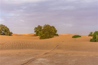 Algérie