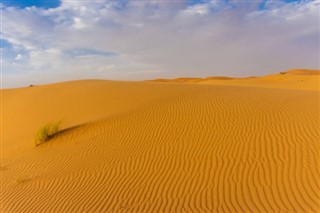 আলজেরিয়া