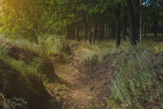 Bandaríska