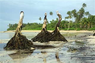 அமெரிக்க