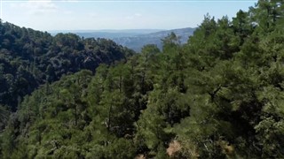 Америчка