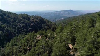 Америчка