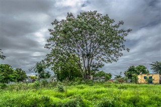 அங்கோலா