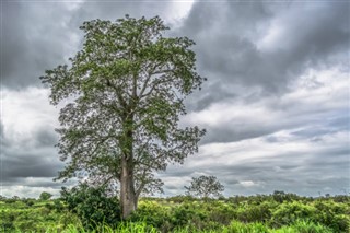 অ্যাঙ্গোলা