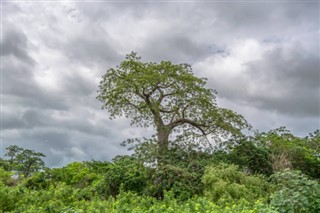 Angola