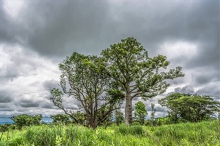 অ্যাঙ্গোলা