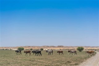 Angola